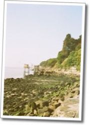 BTS_2005_St_Nazaire6.jpg