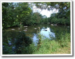 dscf7763.jpg