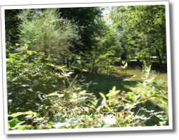 dscf7772.jpg