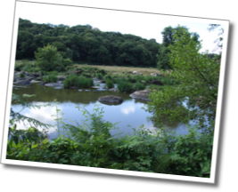 dscf7779.jpg
