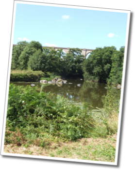 dscf7786.jpg