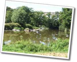 dscf7788.jpg
