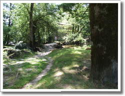 dscf7823.jpg