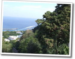 dscf0667.jpg