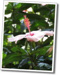 dscf0675.jpg