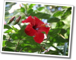 dscf0677.jpg
