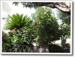 dscf0678.jpg