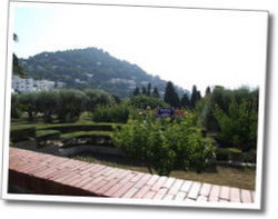dscf0679.jpg