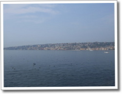 dscf0547.jpg