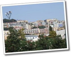 dscf0450.jpg