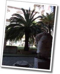 dscf0602.jpg