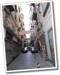 dscf0490.jpg